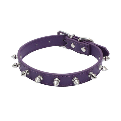 Dog Leash