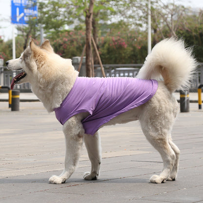 Dog Tshirt