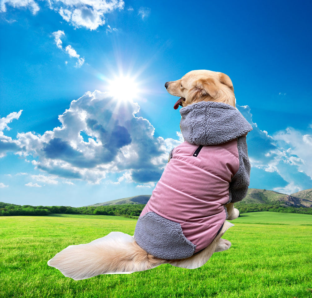 Pet Clothes Double-sided