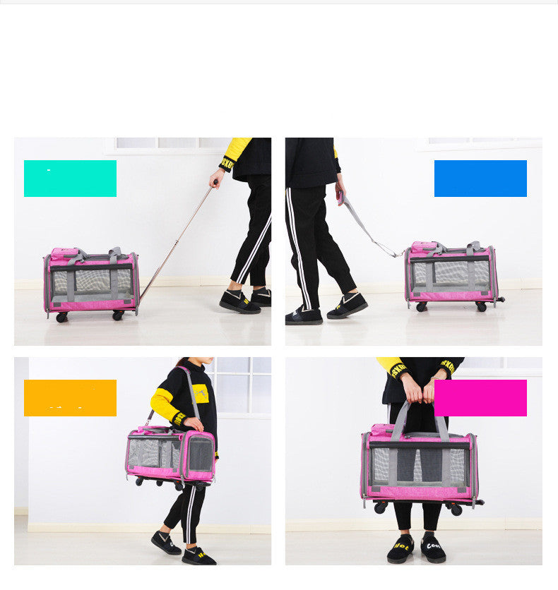 Dog bag