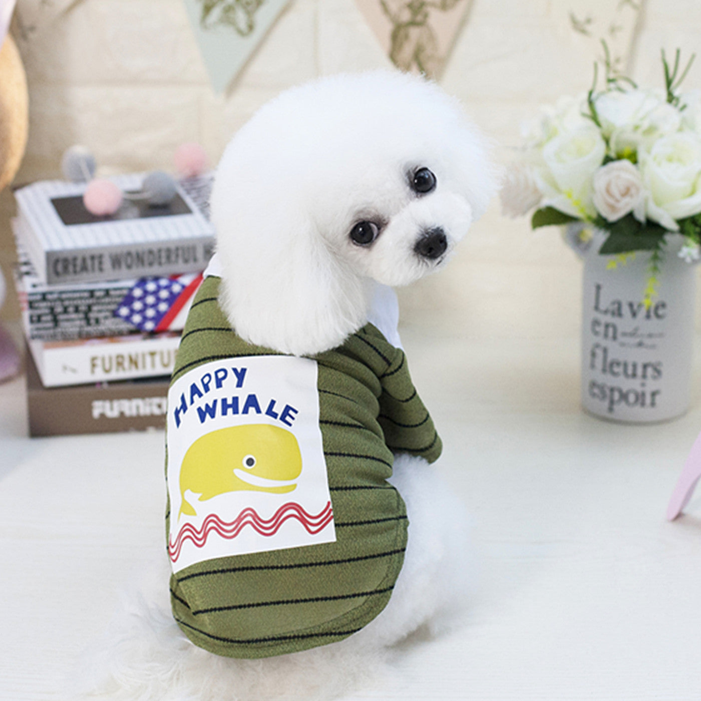 dog clothes