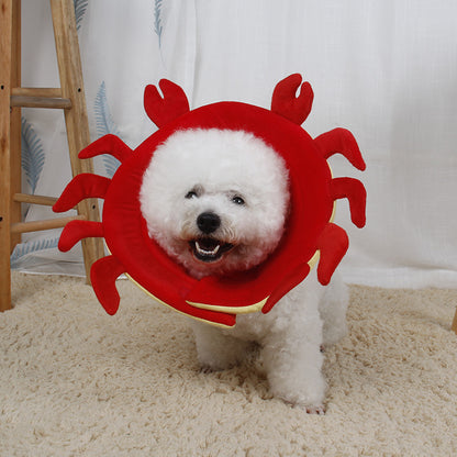 Dog Bite Ring