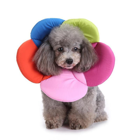 Dog Bite Ring