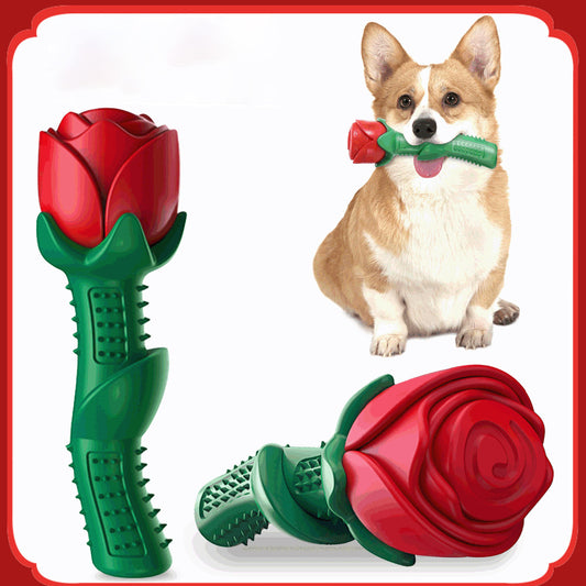 Dog Toy