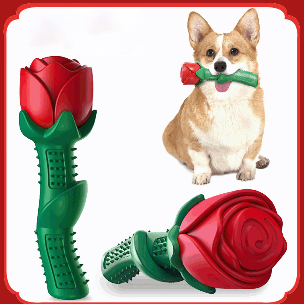Dog Toy