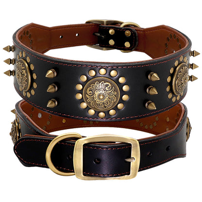 Dog Collar