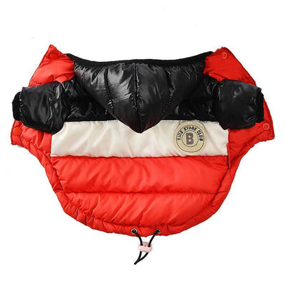 Dog Jacket