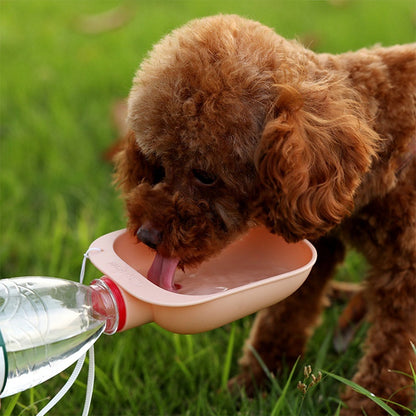 Drinking Bowl