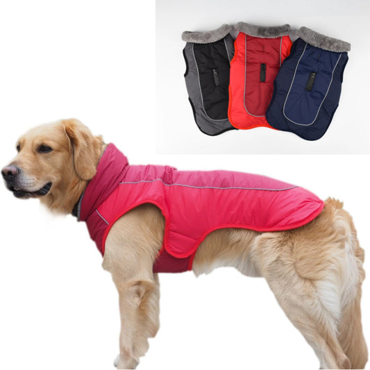 dog clothing