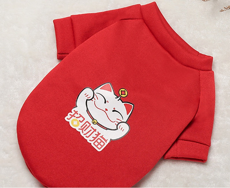 Dog clothes