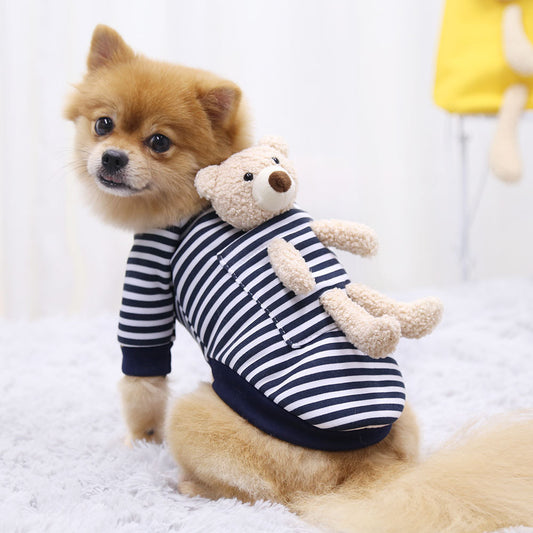 Dog Sweater teddy bear