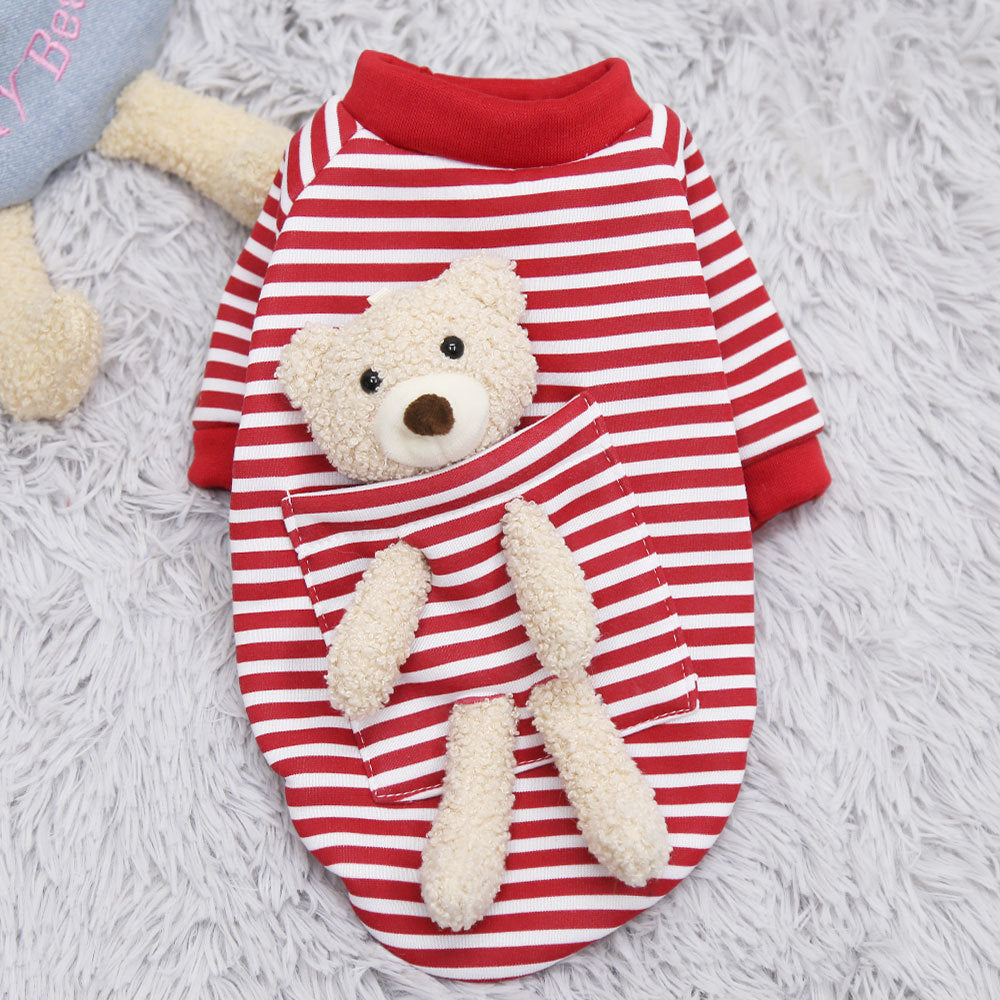 Dog Sweater teddy bear