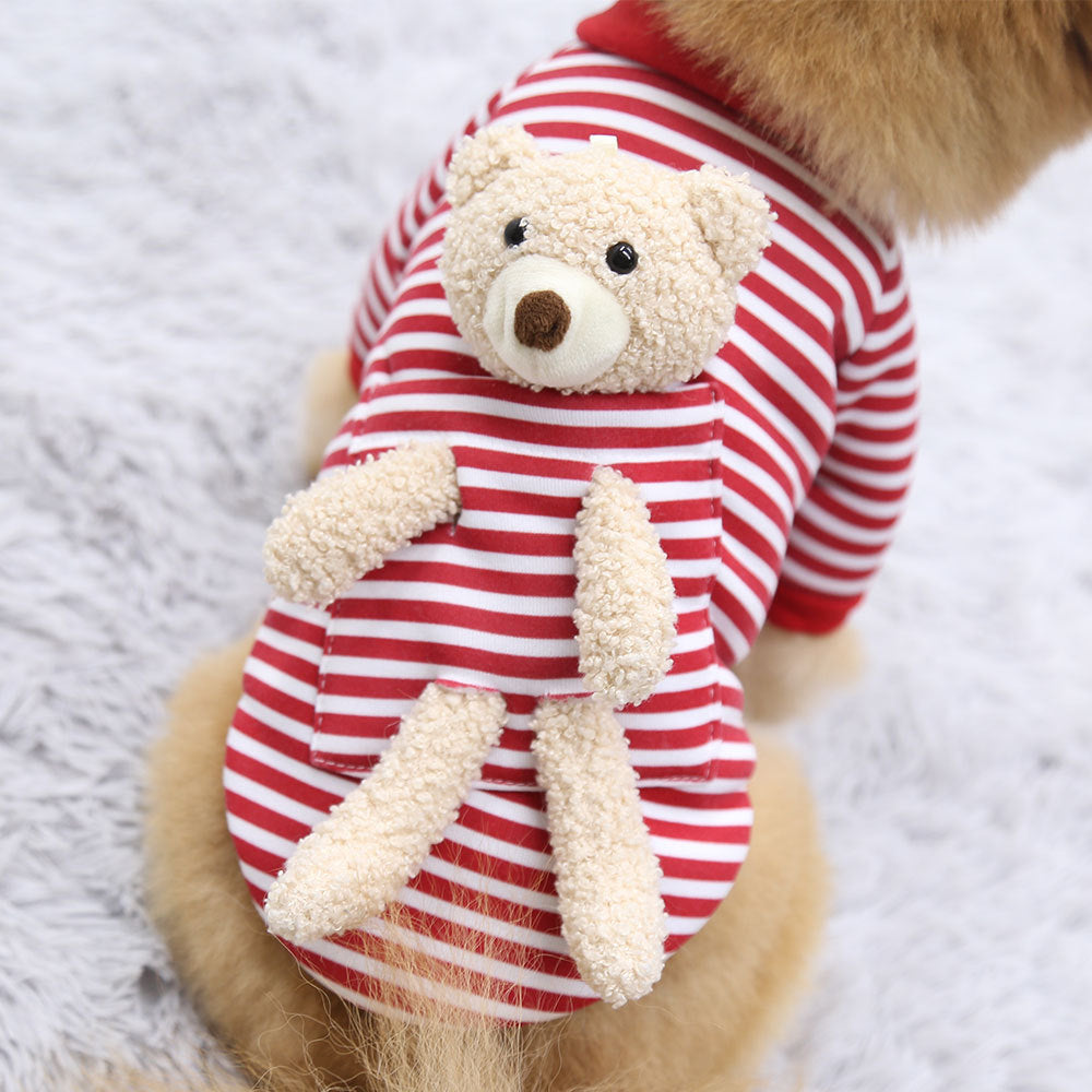 Dog Sweater teddy bear