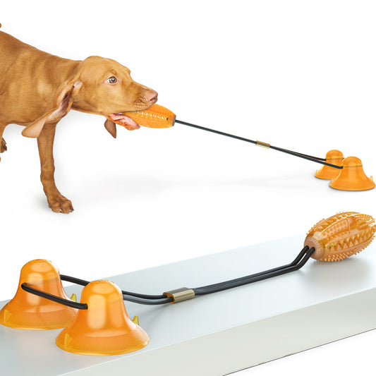 Dog Toy