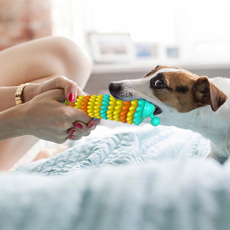 Dog Toothbrush Stick