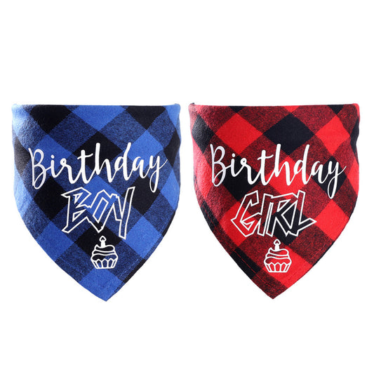 Dog Birthday Triangle Scarf