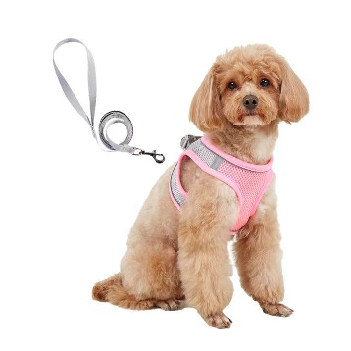 Dog Leash