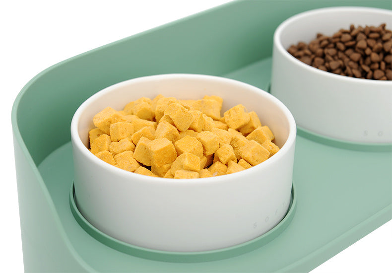 Dog Bowl
