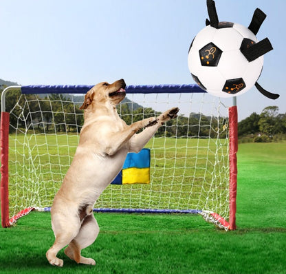 Dog Ball Toy Outdoor Football