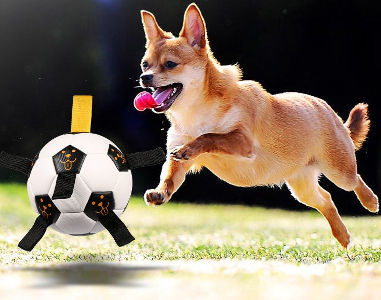 Dog Ball Toy Outdoor Football
