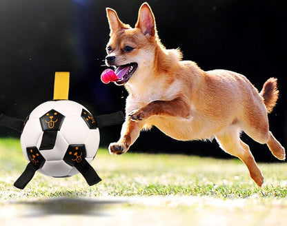 Dog Ball Toy Outdoor Football