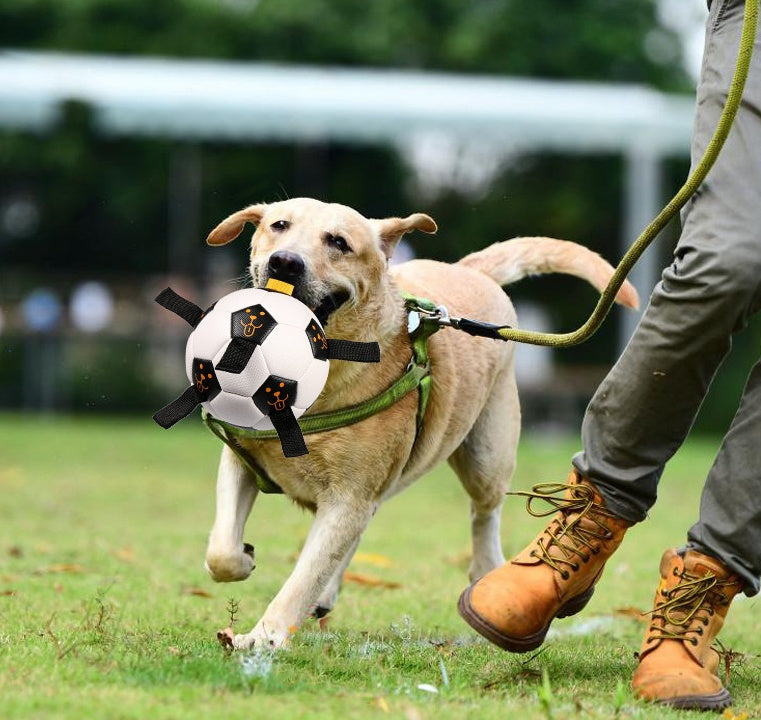 Dog Ball Toy Outdoor Football