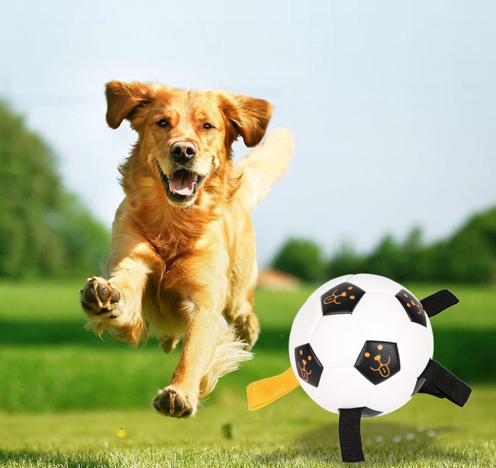 Dog Ball Toy Outdoor Football