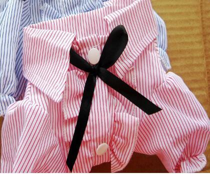 Dog Clothes