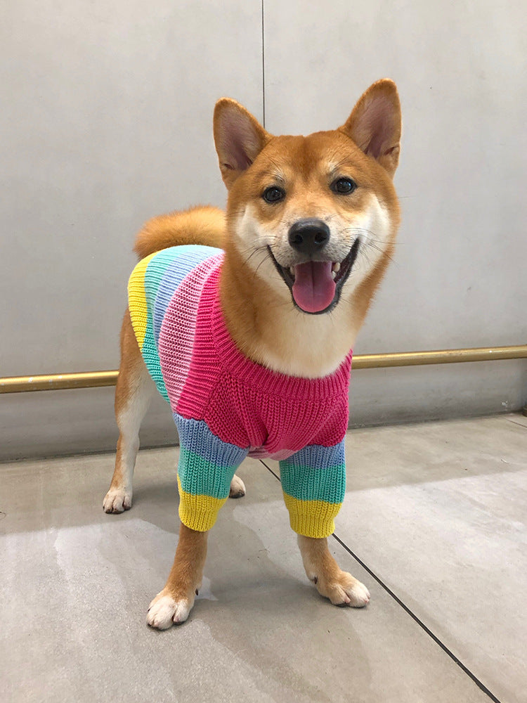 Dog Sweater