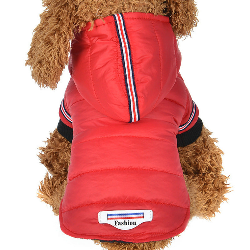 dog jacket