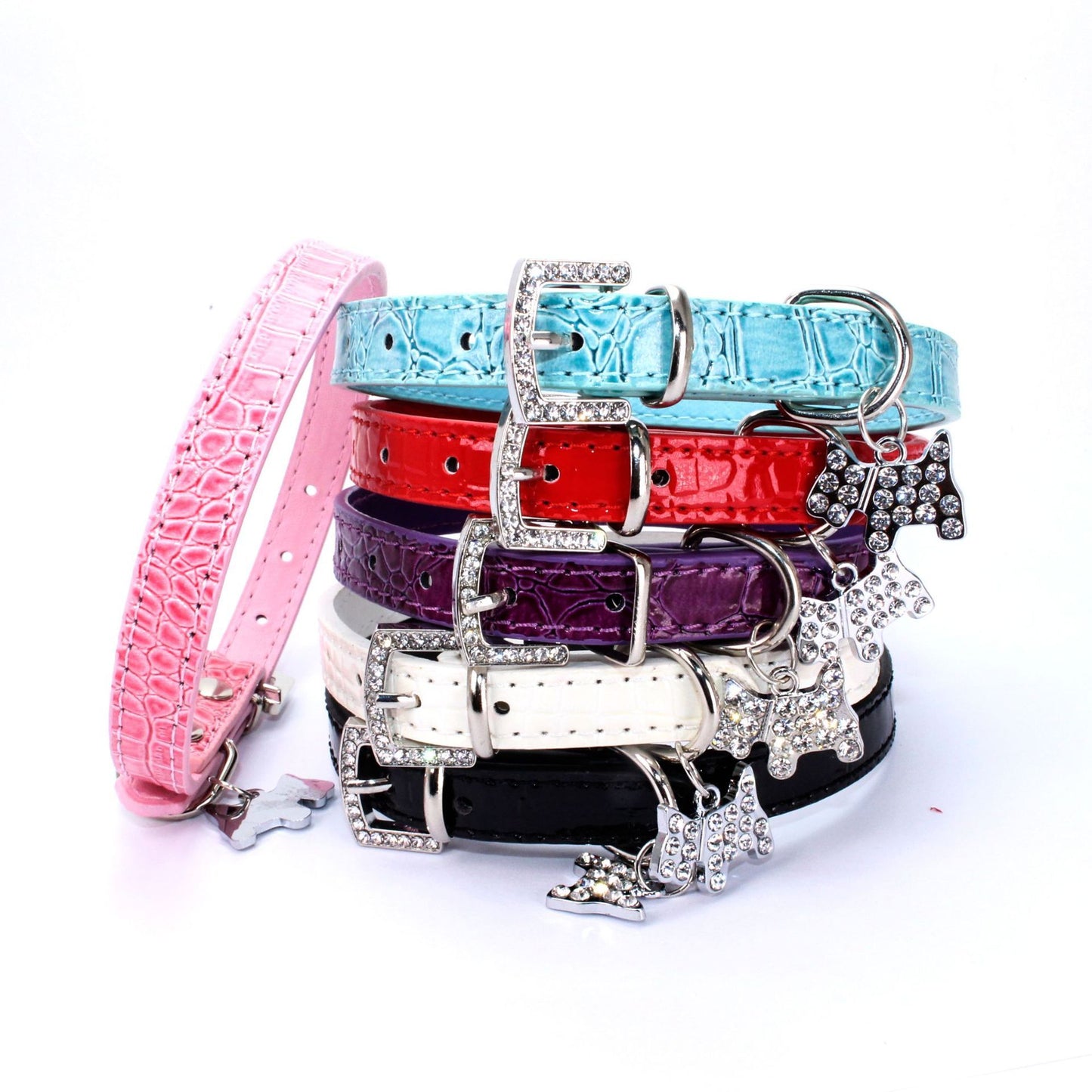 dog collar