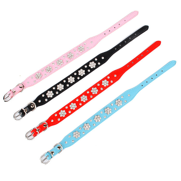 Dog Collar