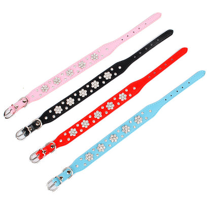 Dog Collar
