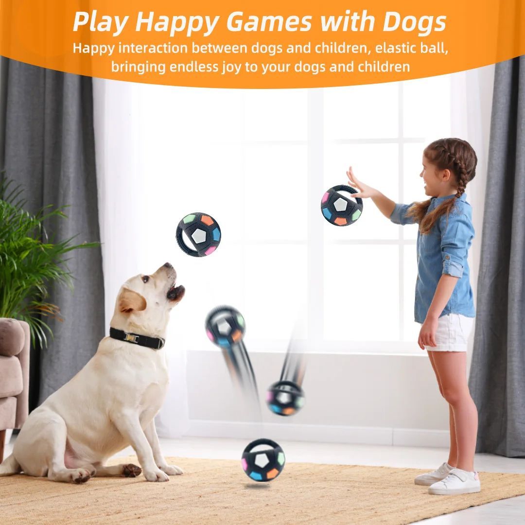 Tennis Ball Dog Toy