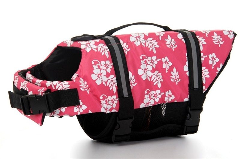 Dog swimwear life jacket