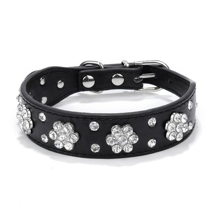 Dog Collar