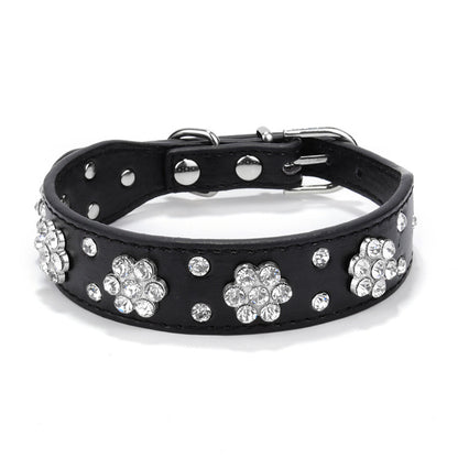 Dog Collar