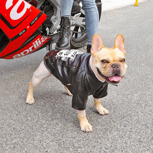 Dog clothes
