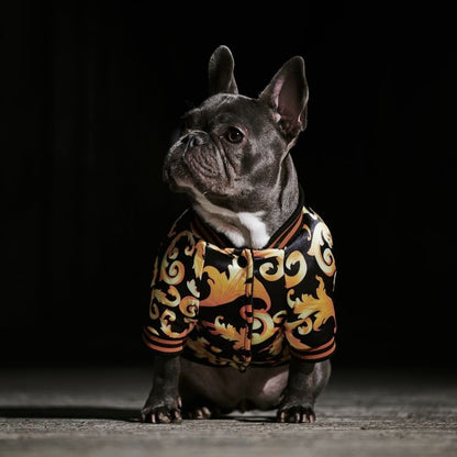 dog coat