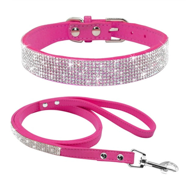 dog collar
