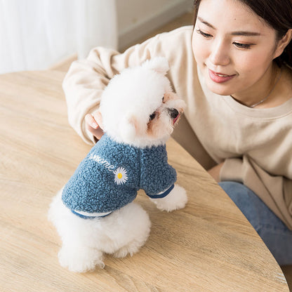 Dog coat