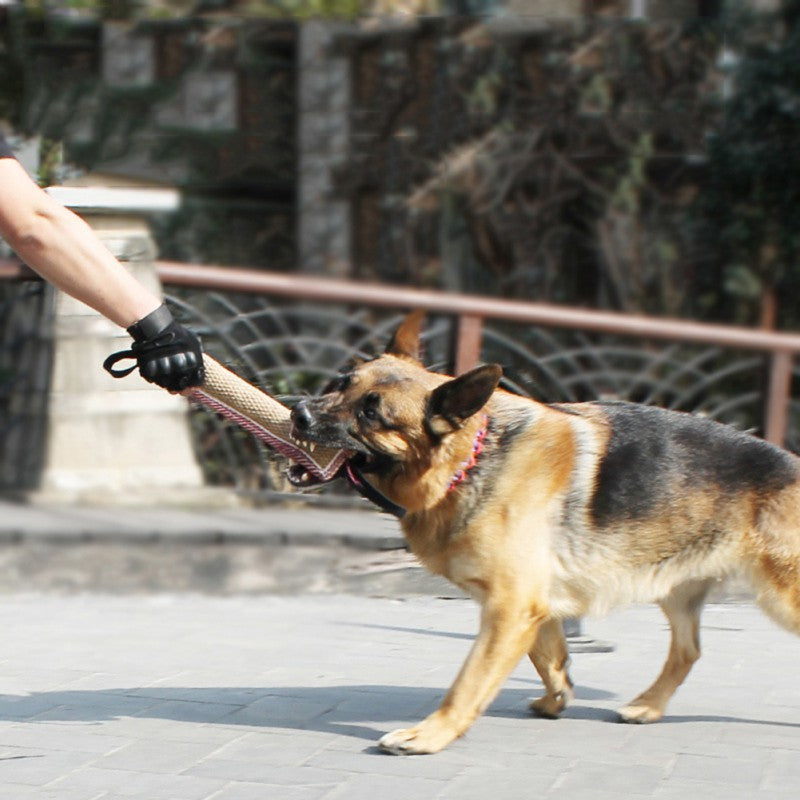 Biting Dog Training Professional