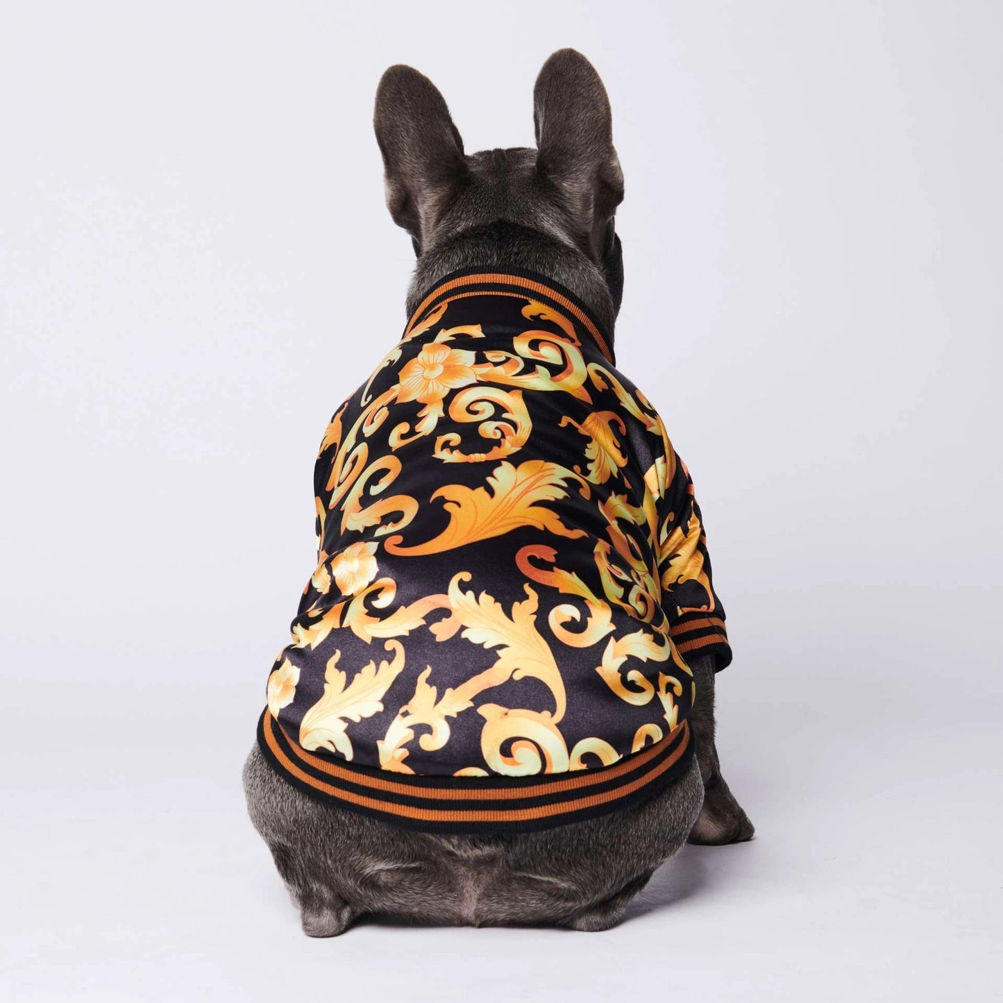 dog coat