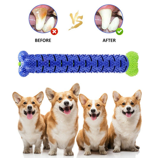 Dog Toy