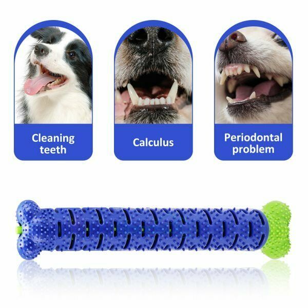Dog Toy