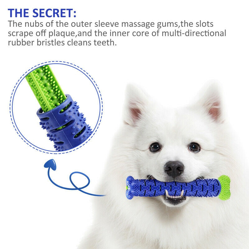Dog Toy