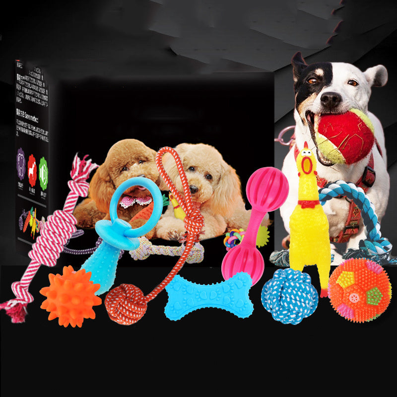 dog toy