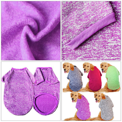 clothes for dog