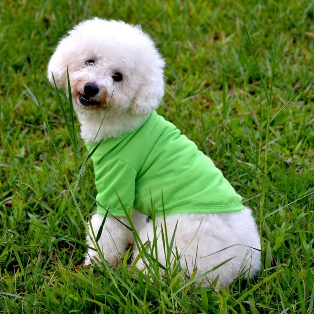 Dog Polo Shirt