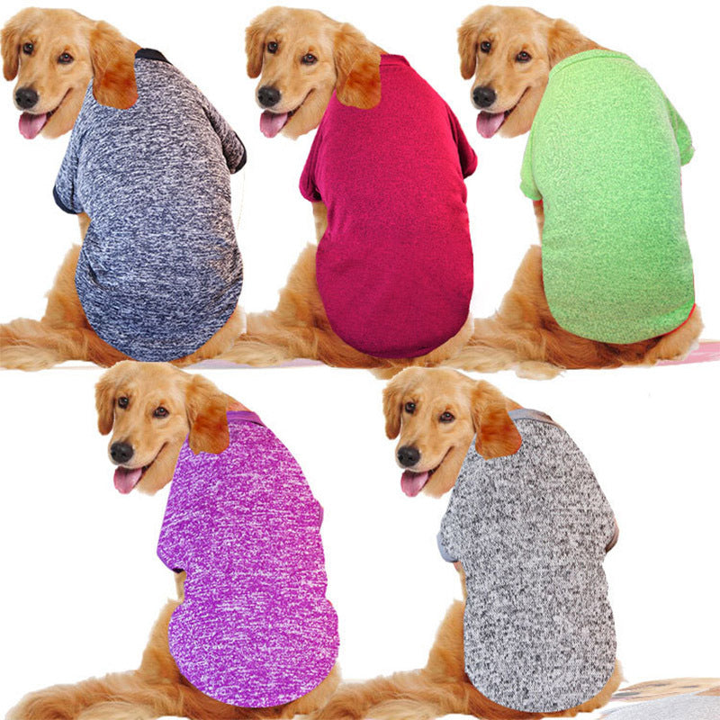 clothes for dog
